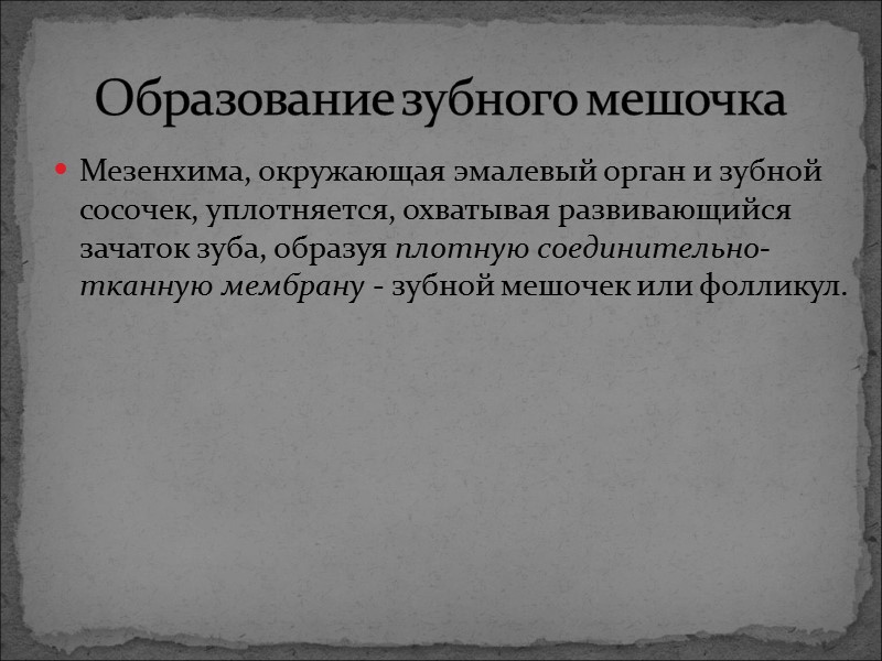 Мезенхима, окружающая эмалевый орган и зубной сосочек, уплотняется, охватывая развивающийся зачаток зуба, образуя плотную